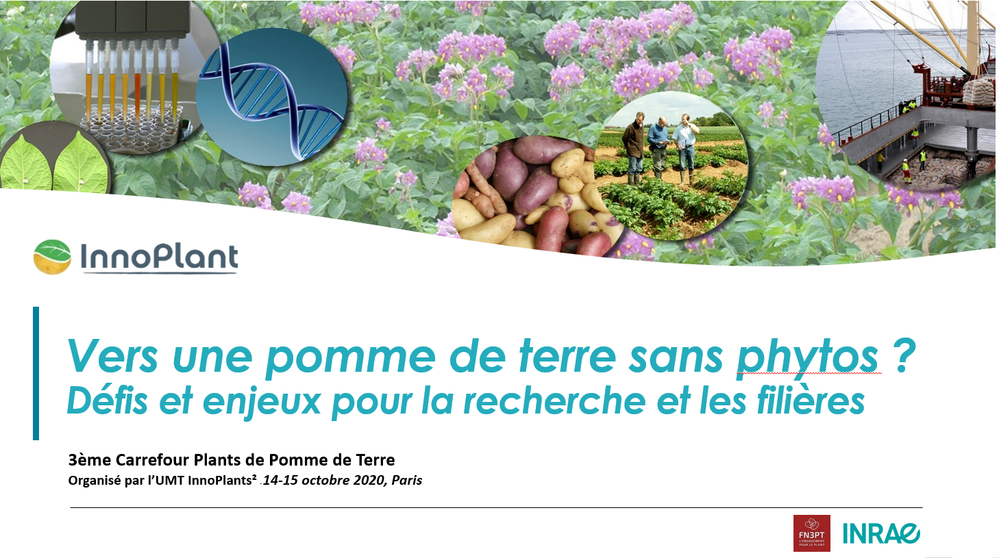 carrefour innoplant&sup2; 2020